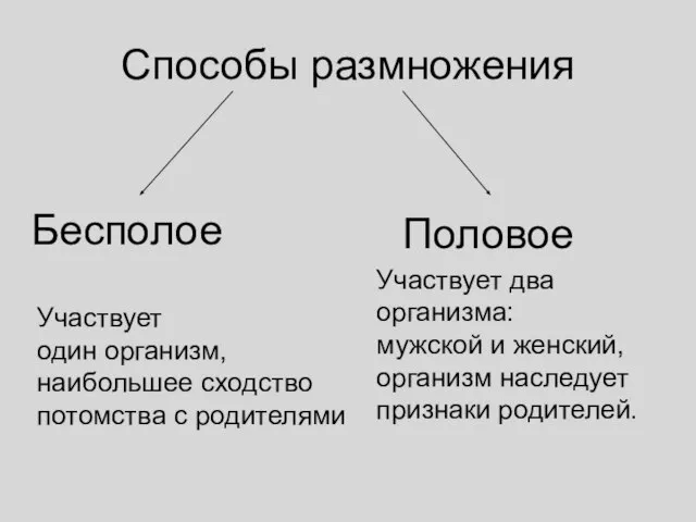 Способы размножения Бесполое Половое Участвует один организм, наибольшее сходство потомства с родителями