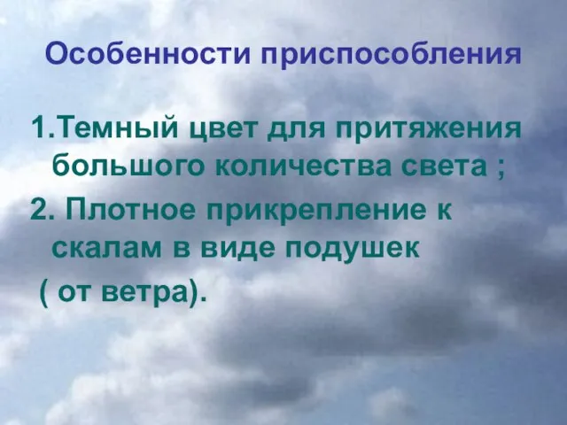 Особенности приспособления 1.Темный цвет для притяжения большого количества света ; 2. Плотное