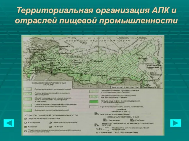 Территориальная организация АПК и отраслей пищевой промышленности