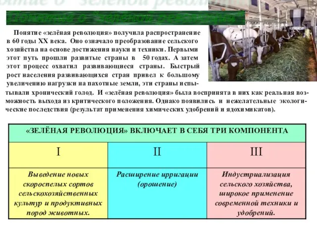 Понятие о "зелёной революции". Понятие «зелёная революция» получила распространение в 60 годы