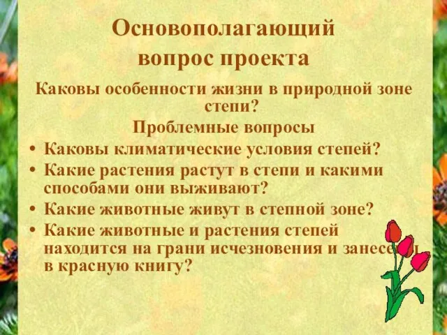 Основополагающий вопрос проекта Каковы особенности жизни в природной зоне степи? Проблемные вопросы