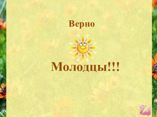 Верно Молодцы!!!