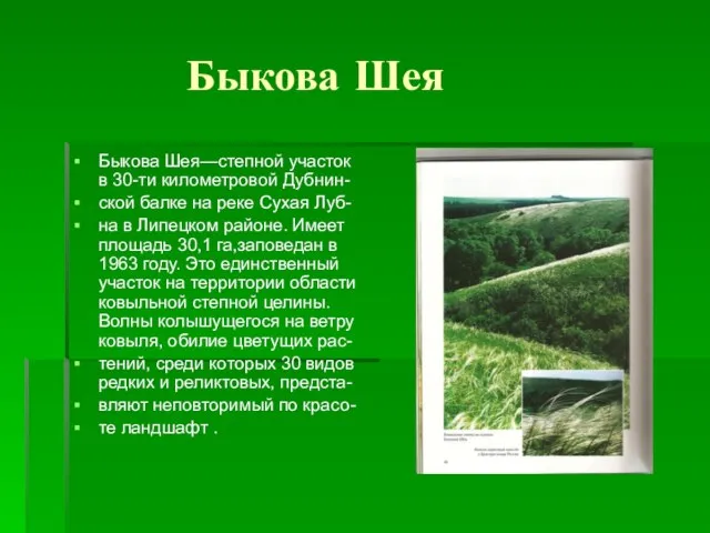 Быкова Шея Быкова Шея—степной участок в 30-ти километровой Дубнин- ской балке на