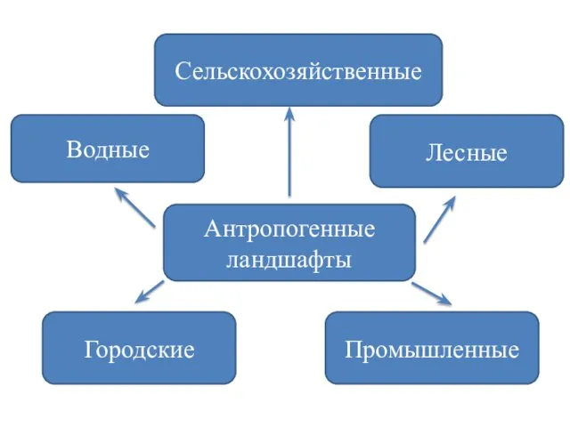 Антропогенные ландшафты Водные Лесные Городские Промышленные Сельскохозяйственные