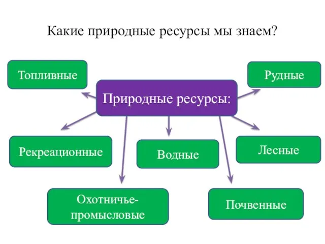 Какие природные ресурсы мы знаем? Топливные Водные Лесные Рекреационные Почвенные Охотничье- промысловые Рудные Природные ресурсы: