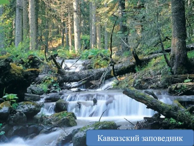 Может ли человек уменьшить своё воздействие на природу? Очистные сточных вод Кавказский заповедник