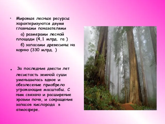 Мировые лесные ресурсы характеризуются двумя главными показателями а) размерами лесной площади (4,1