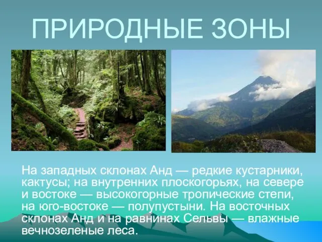 ПРИРОДНЫЕ ЗОНЫ На западных склонах Анд — редкие кустарники, кактусы; на внутренних