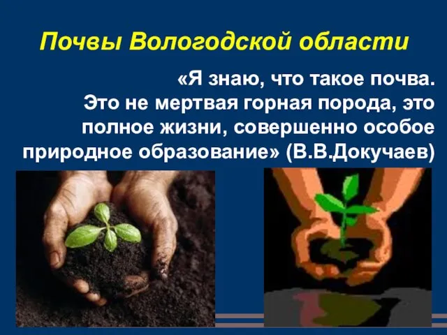 Почвы Вологодской области «Я знаю, что такое почва. Это не мертвая горная