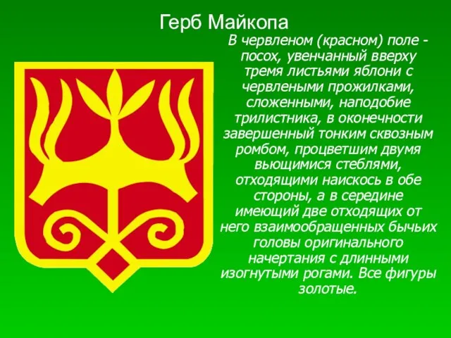 Герб Майкопа В червленом (красном) поле - посох, увенчанный вверху тремя листьями