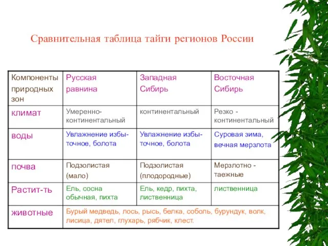 Сравнительная таблица тайги регионов России