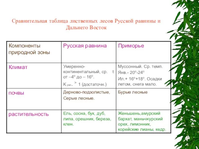 Сравнительная таблица лиственных лесов Русской равнины и Дальнего Восток