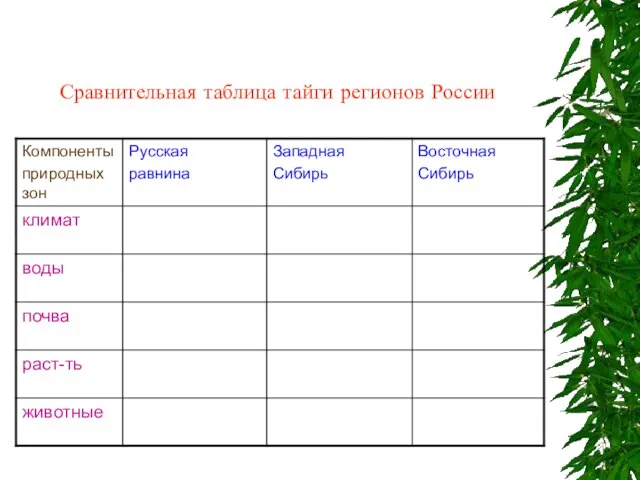 Сравнительная таблица тайги регионов России