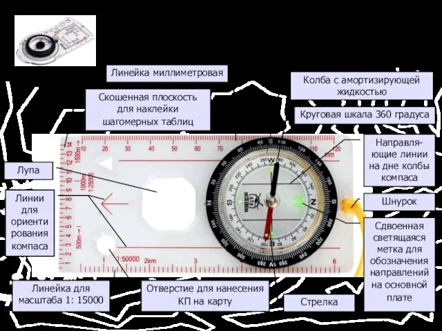 Компас. Строение компаса Колба с амортизирующей жидкостью Круговая шкала 360 градуса Направля-ющие