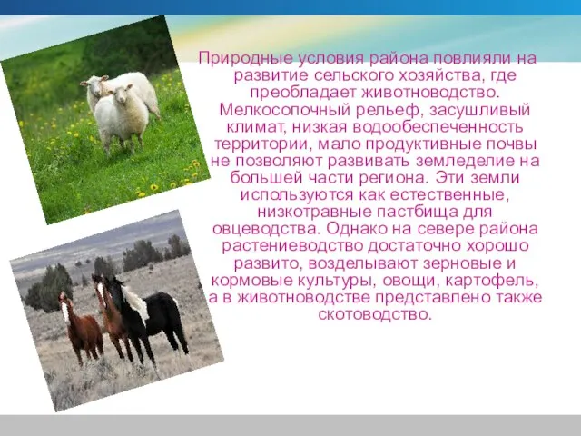 Природные условия района повлияли на развитие сельского хозяйства, где преобладает животноводство. Мелкосопочный