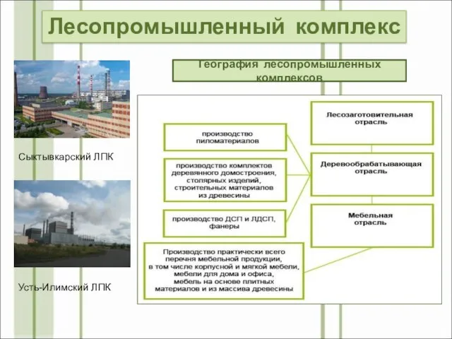 Архангельск Сыктывкар Братск Усть-Илимск Красноярск Амурск Лесосибирск Лесопромышленные комплексы Структура лесопромышленного комплекса