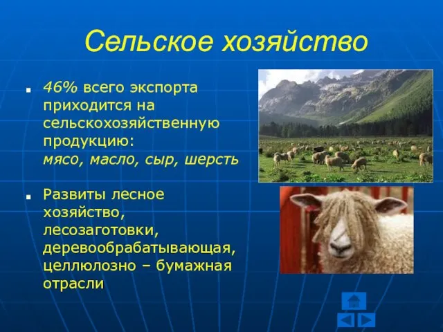 Сельское хозяйство 46% всего экспорта приходится на сельскохозяйственную продукцию: мясо, масло, сыр,