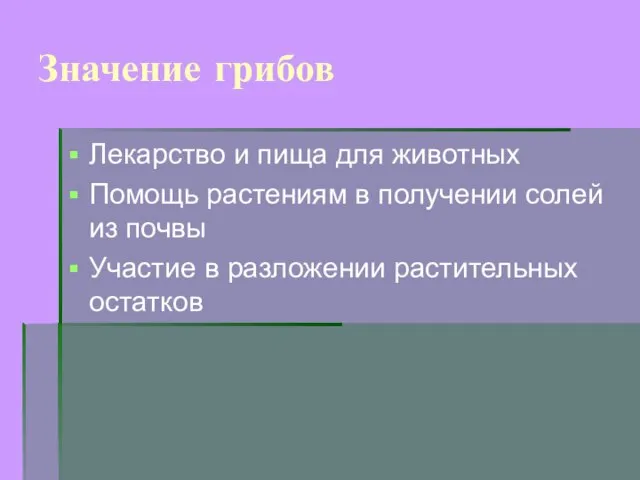 Значение грибов Лекарство и пища для животных Помощь растениям в получении солей