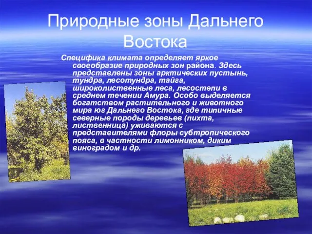 Природные зоны Дальнего Востока Специфика климата определяет яркое своеобразие природных зон района.