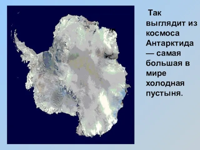 Так выглядит из космоса Антарктида — самая большая в мире холодная пустыня.