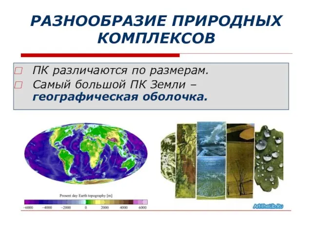 РАЗНООБРАЗИЕ ПРИРОДНЫХ КОМПЛЕКСОВ ПК различаются по размерам. Самый большой ПК Земли – географическая оболочка.