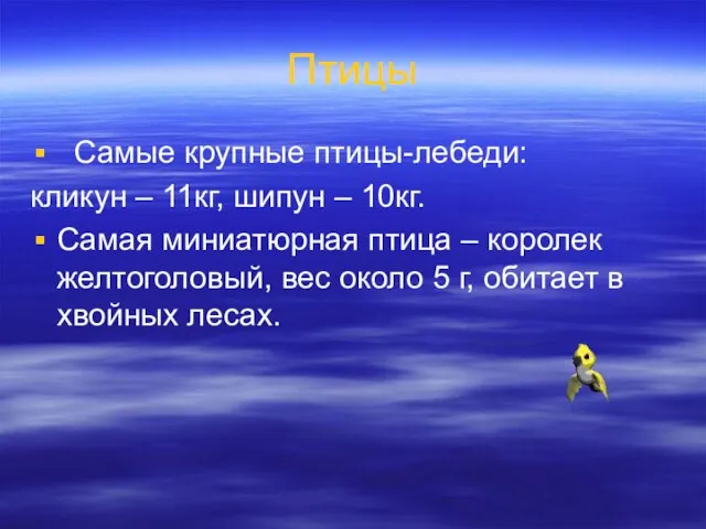 Птицы Самые крупные птицы-лебеди: кликун – 11кг, шипун – 10кг. Самая миниатюрная