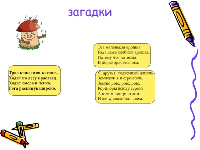 загадки Трав копытами касаясь, Ходит по лесу красавец, Ходит смело и легко,