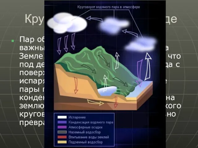 Круговорот пара в природе Пар обладает свойствами, очень важными для поддержания жизни