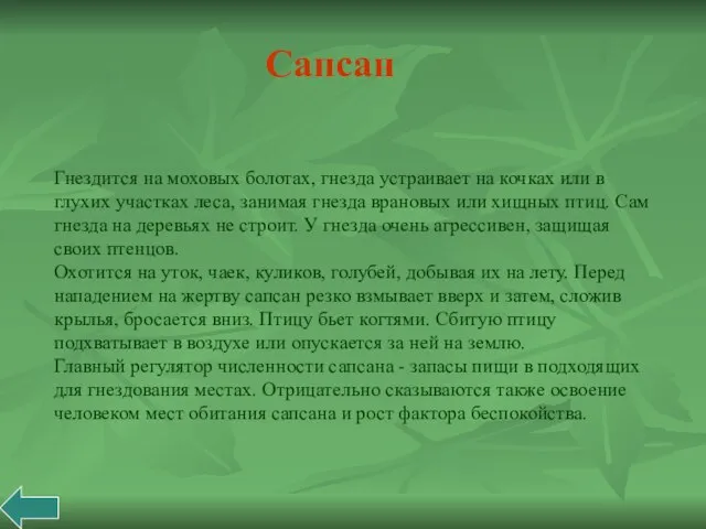 Гнездится на моховых болотах, гнезда устраивает на кочках или в глухих участках