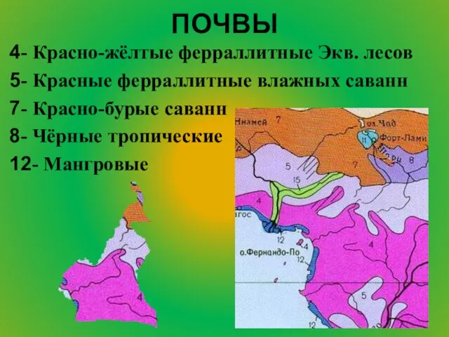 ПОЧВЫ 4- Красно-жёлтые ферраллитные Экв. лесов 5- Красные ферраллитные влажных саванн 7-