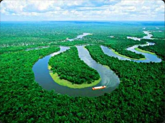 Амазонская низменность - самая большая низменность на Земле, S > 5 млн. км².
