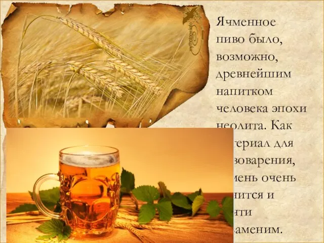 Ячменное пиво было, возможно, древнейшим напитком человека эпохи неолита. Как материал для