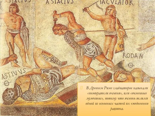 В Древнем Риме гладиаторов называли «пожиратели ячменя», или «ячменные мужчины», потому что