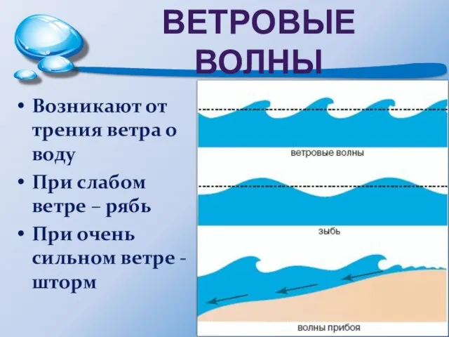 ВЕТРОВЫЕ ВОЛНЫ Возникают от трения ветра о воду При слабом ветре –