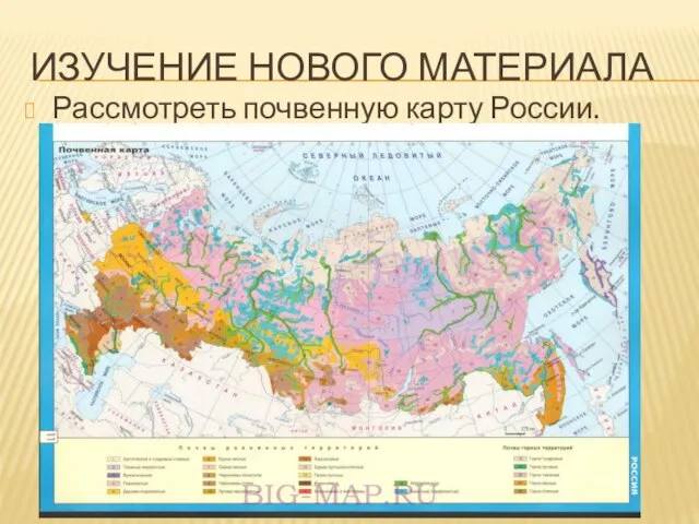 Изучение нового материала Рассмотреть почвенную карту России.