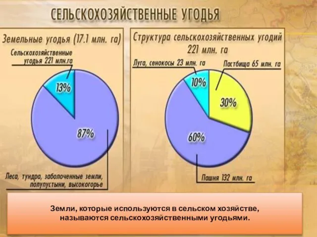 Земли, которые используются в сельском хозяйстве, называются сельскохозяйственными угодьями.