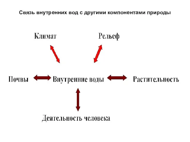 Связь внутренних вод с другими компонентами природы