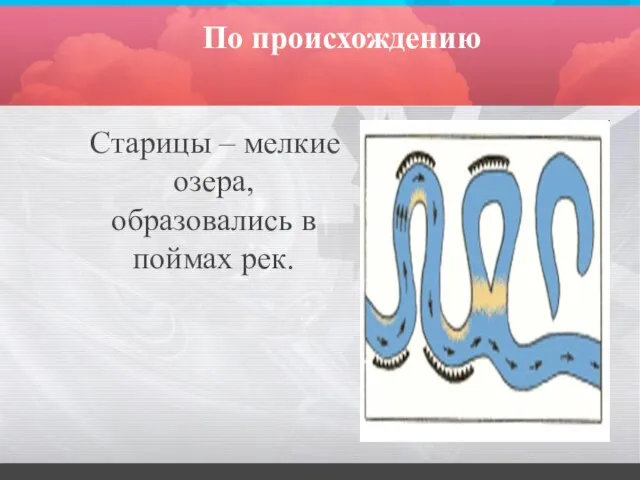 По происхождению Старицы – мелкие озера, образовались в поймах рек.