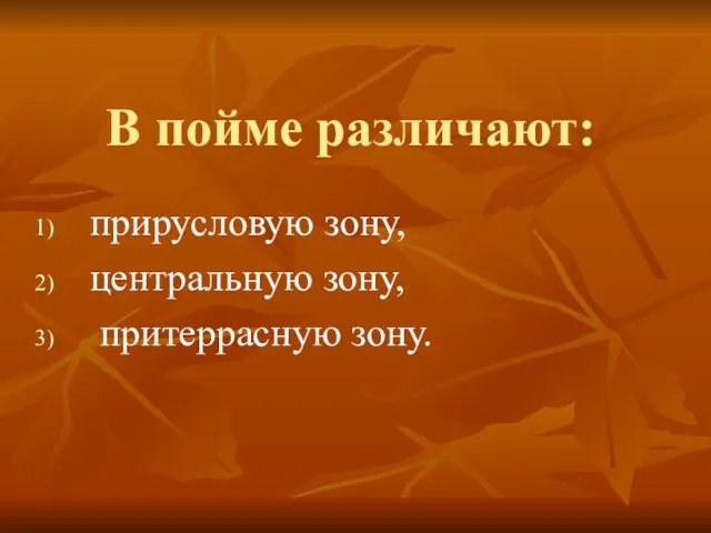 В пойме различают: прирусловую зону, центральную зону, притеррасную зону.