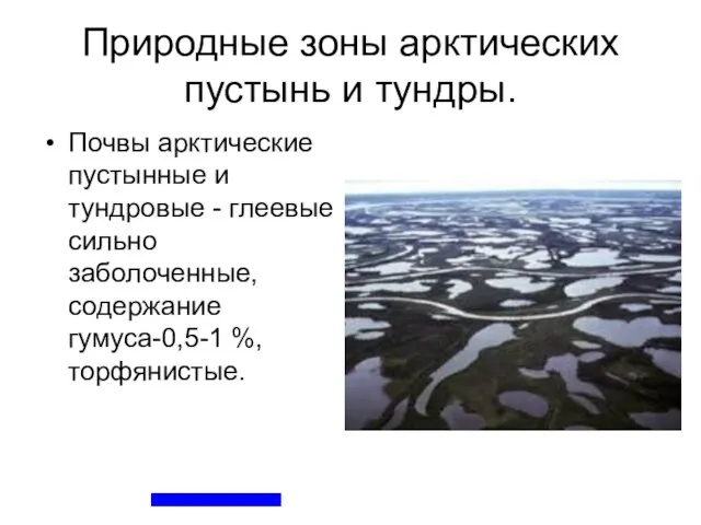 Природные зоны арктических пустынь и тундры. Почвы арктические пустынные и тундровые -