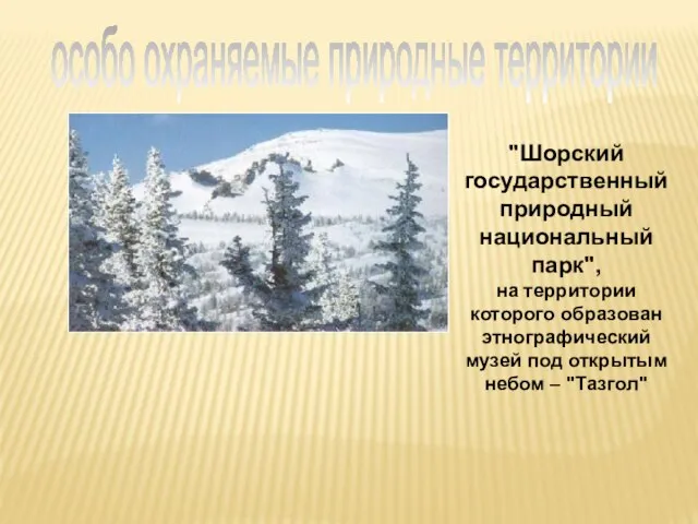 "Шорский государственный природный национальный парк", на территории которого образован этнографический музей под