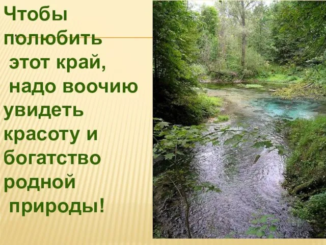 Чтобы полюбить этот край, надо воочию увидеть красоту и богатство родной природы!