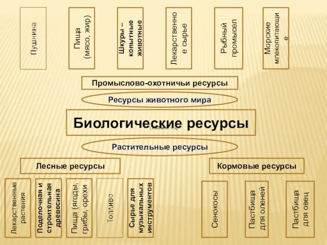 Биологические ресурсы Лесные ресурсы Кормовые ресурсы Растительные ресурсы Лекарственные растения Поделочная и