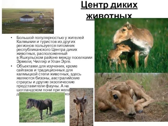 Центр диких животных Большой популярностью у жителей Калмыкии и туристов из других