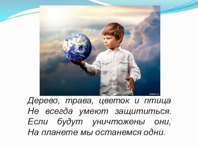 Дерево, трава, цветок и птица Не всегда умеют защититься. Если будут уничтожены