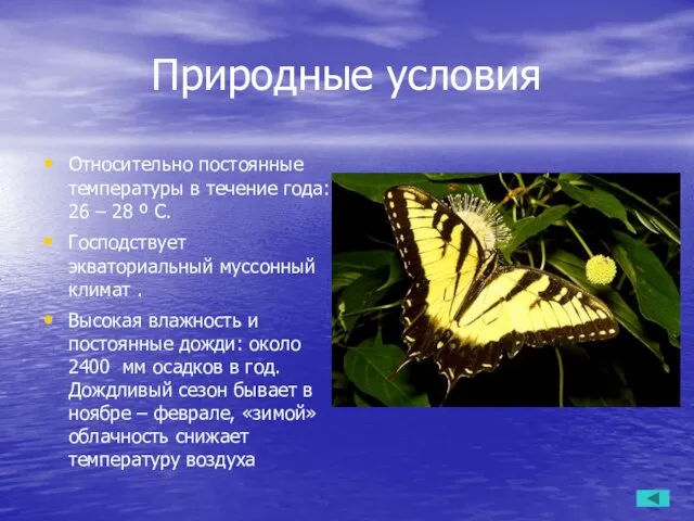 Природные условия Относительно постоянные температуры в течение года: 26 – 28 º