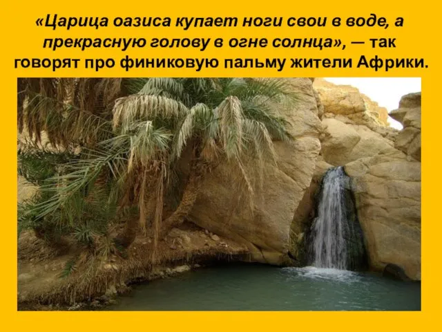 «Царица оазиса купает ноги свои в воде, а прекрасную голову в огне