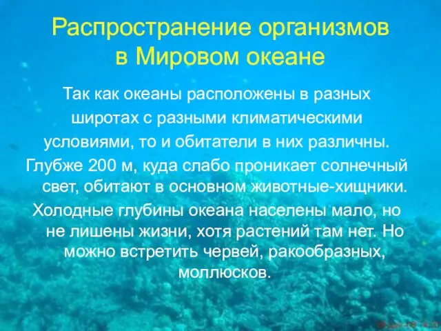 Распространение организмов в Мировом океане Так как океаны расположены в разных широтах