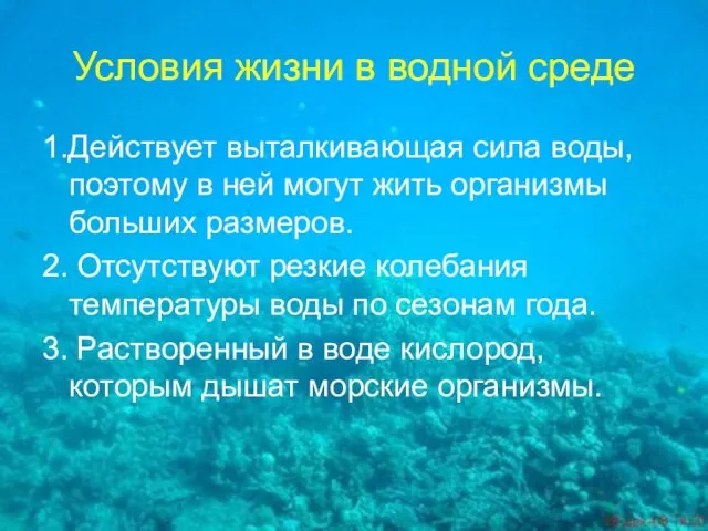 Условия жизни в водной среде 1.Действует выталкивающая сила воды, поэтому в ней