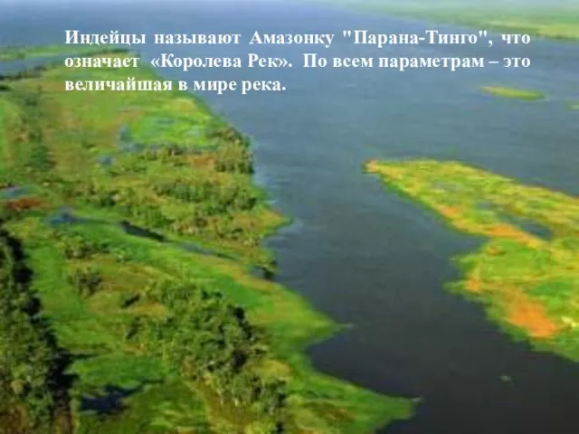 Индейцы называют Амазонку "Парана-Тинго", что означает «Королева Рек». По всем параметрам –